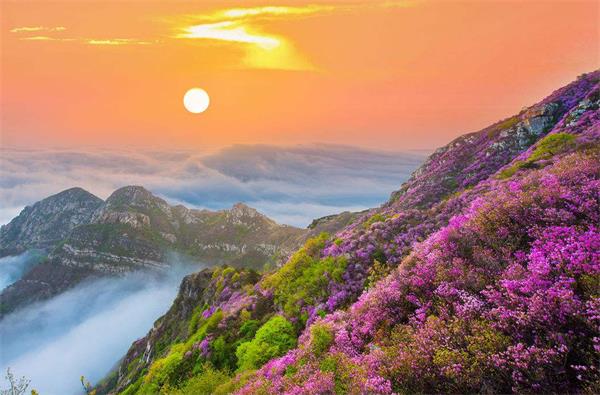 4黑山春意——大黑山.jpg